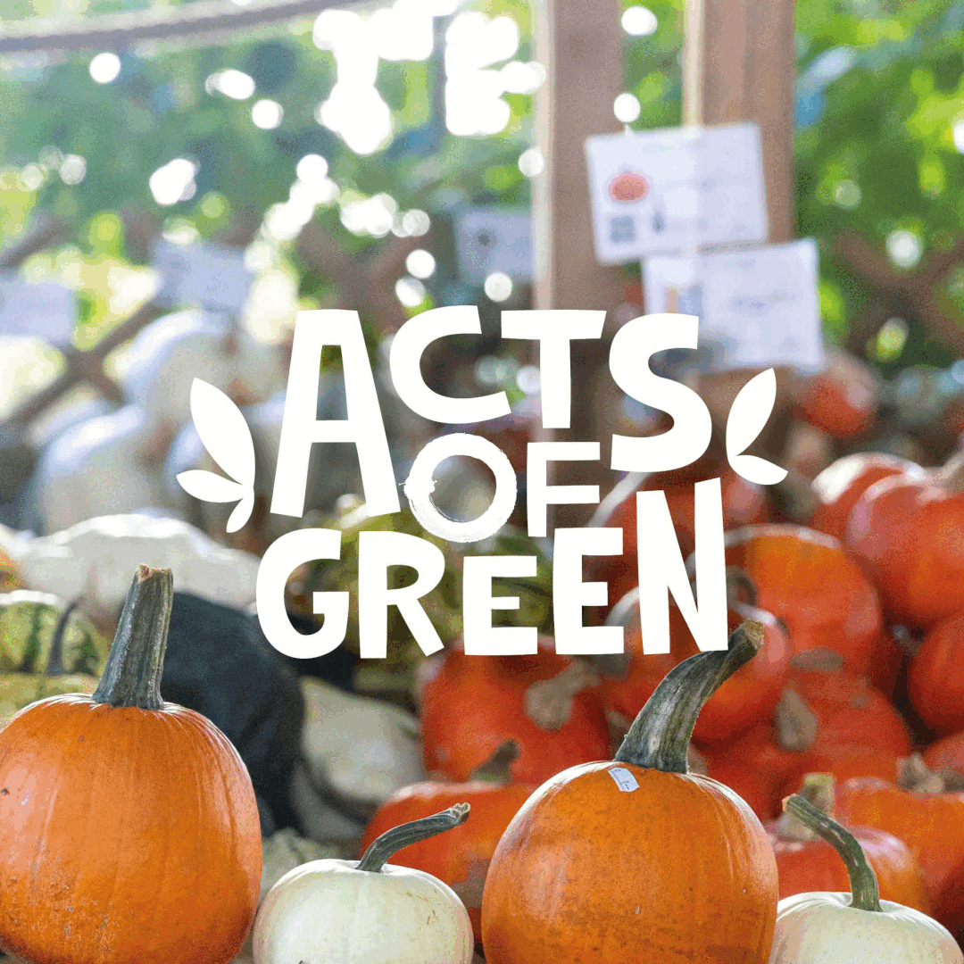 » Restaurant Eldora » Restaurant Eldora